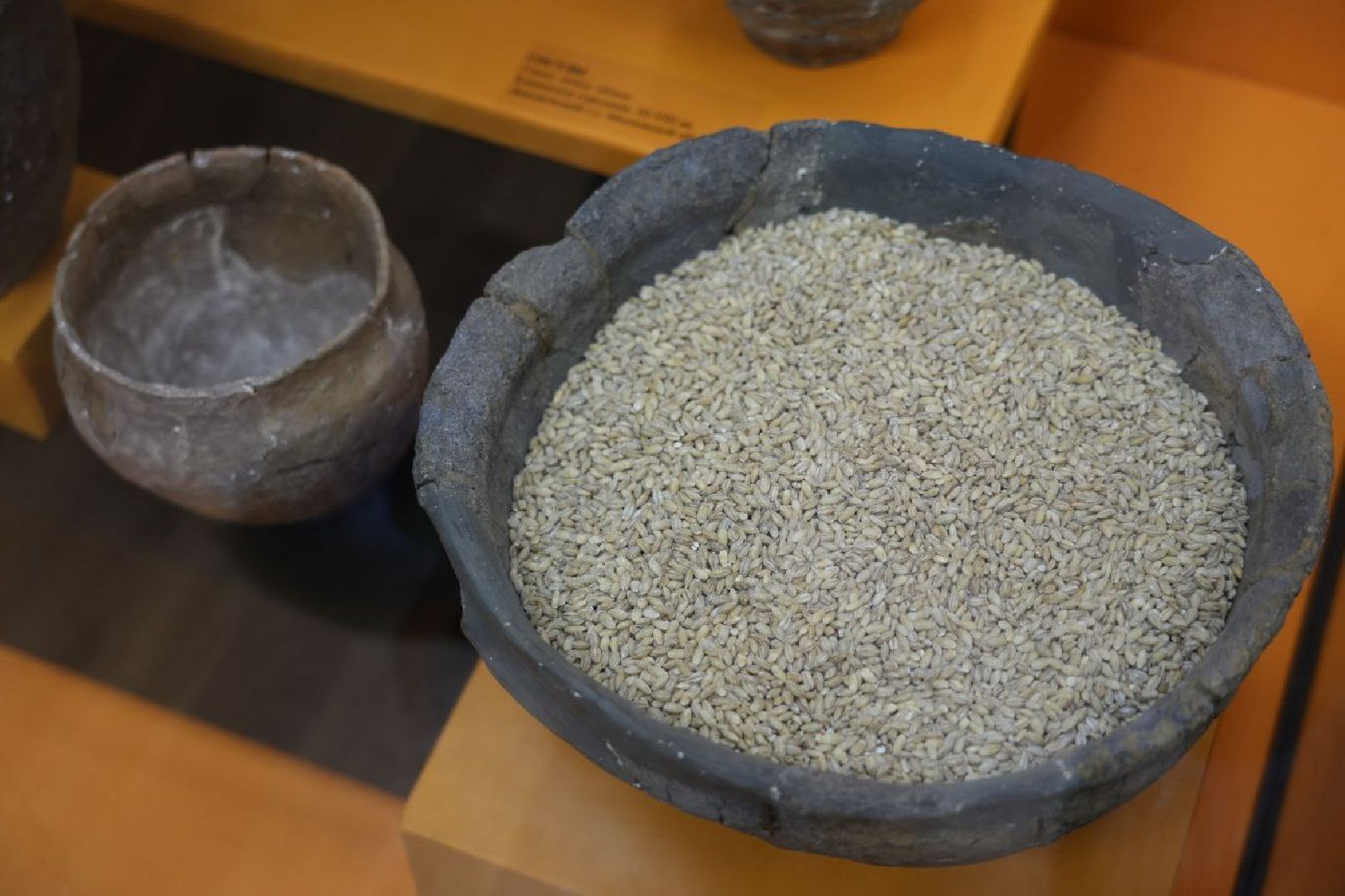 Музеи, Археология, Сергиево-Посадский музей-заповедник, Сергиев Посад, Сергиево-Посадский музей-заповедник,