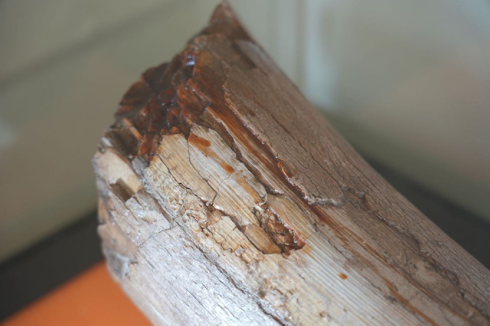 Музеи, Археология, Сергиево-Посадский музей-заповедник, Сергиев Посад, Сергиево-Посадский музей-заповедник,