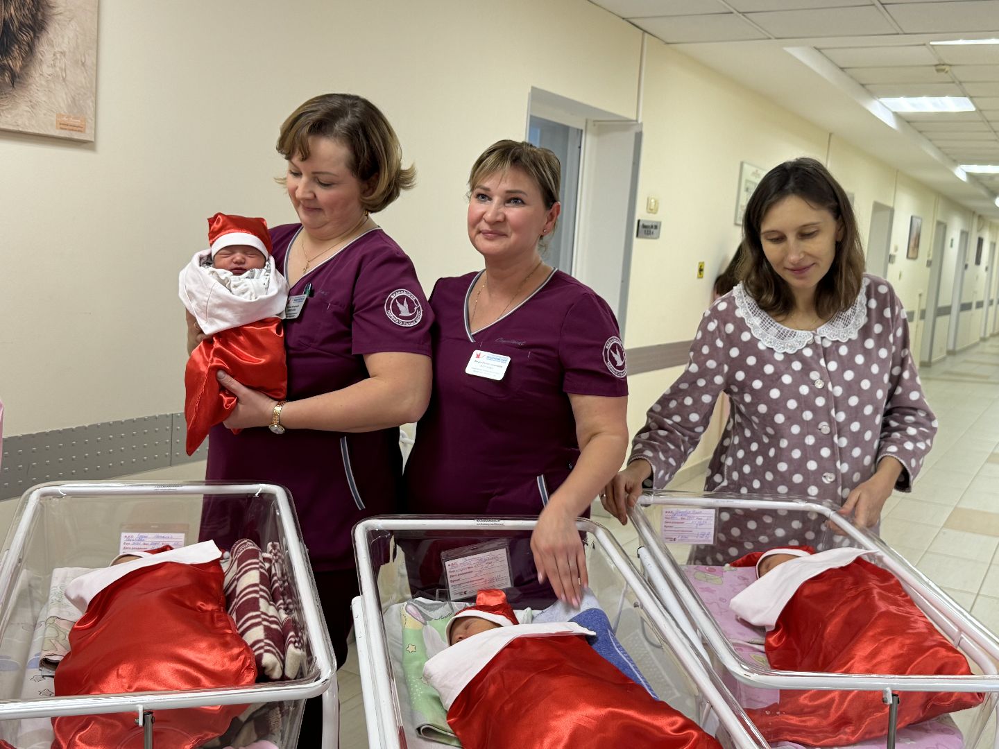 видновский перинатальный центр, Новорожденные декабрята, новорожденные дети,