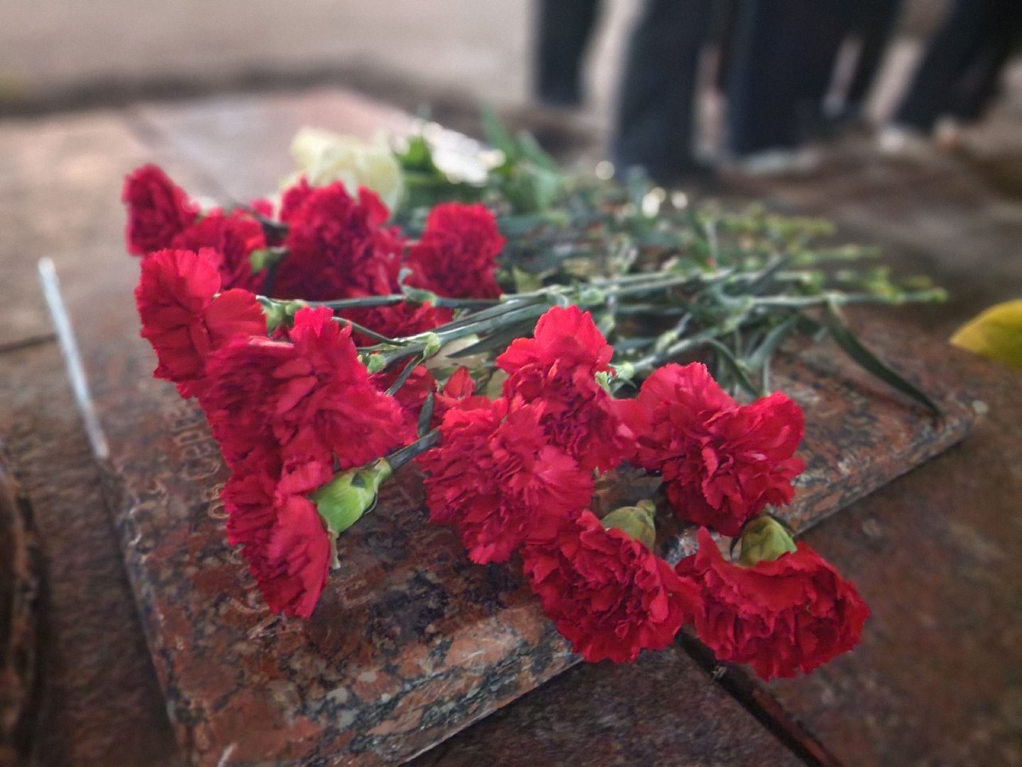 шатура, мы будущее, сила смыслов, волонтеры подмосковья, молодежная политика, молодежь,