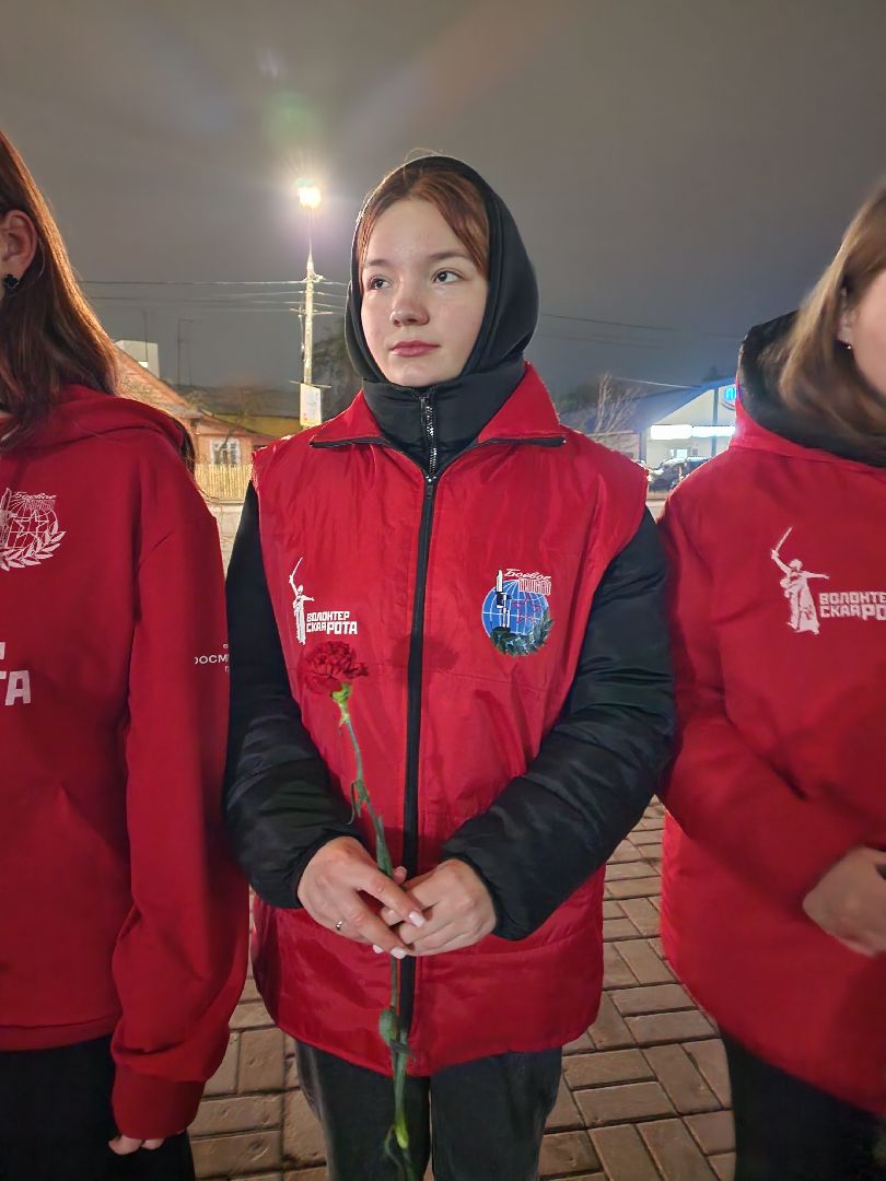 шатура, мы будущее, сила смыслов, волонтеры подмосковья, молодежная политика, молодежь,