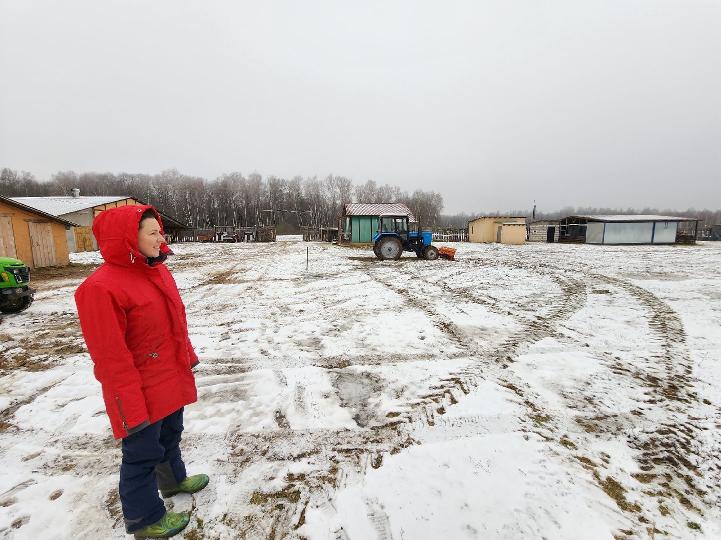 Чехов, деревня Булычево, ферма Черный лис, молочное производство, животноводство, сельское хозяйство, производство молочных продуктов, авторские сыры, традиционные сыры,импортозамещение,меры поддержки,