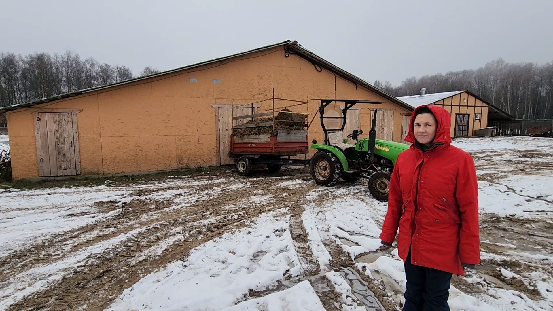 Чехов, деревня Булычево, ферма Черный лис, молочное производство, животноводство, сельское хозяйство, производство молочных продуктов, авторские сыры, традиционные сыры,импортозамещение,меры поддержки,
