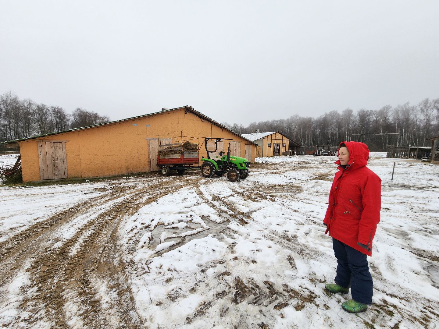 Чехов, деревня Булычево, ферма Черный лис, молочное производство, животноводство, сельское хозяйство, производство молочных продуктов, авторские сыры, традиционные сыры,импортозамещение,меры поддержки,