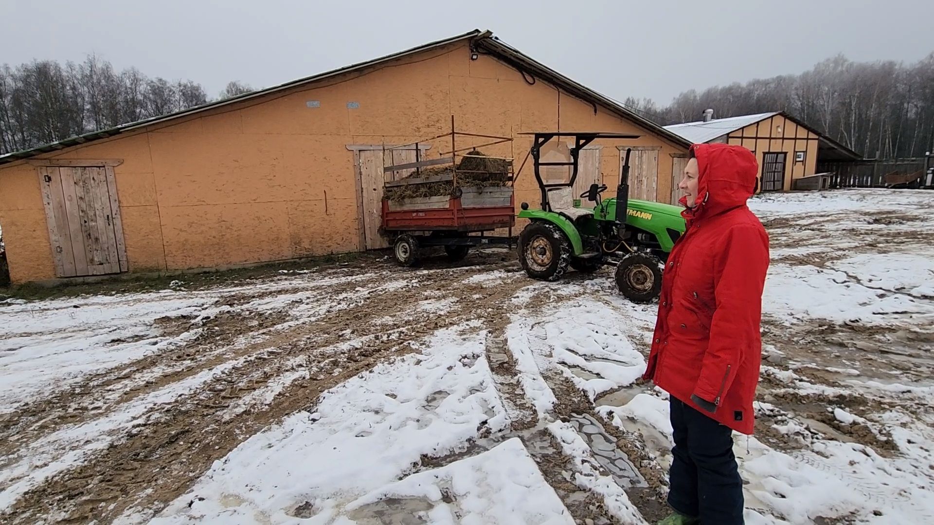 Чехов, деревня Булычево, ферма Черный лис, молочное производство, животноводство, сельское хозяйство, производство молочных продуктов, авторские сыры, традиционные сыры,импортозамещение,меры поддержки,