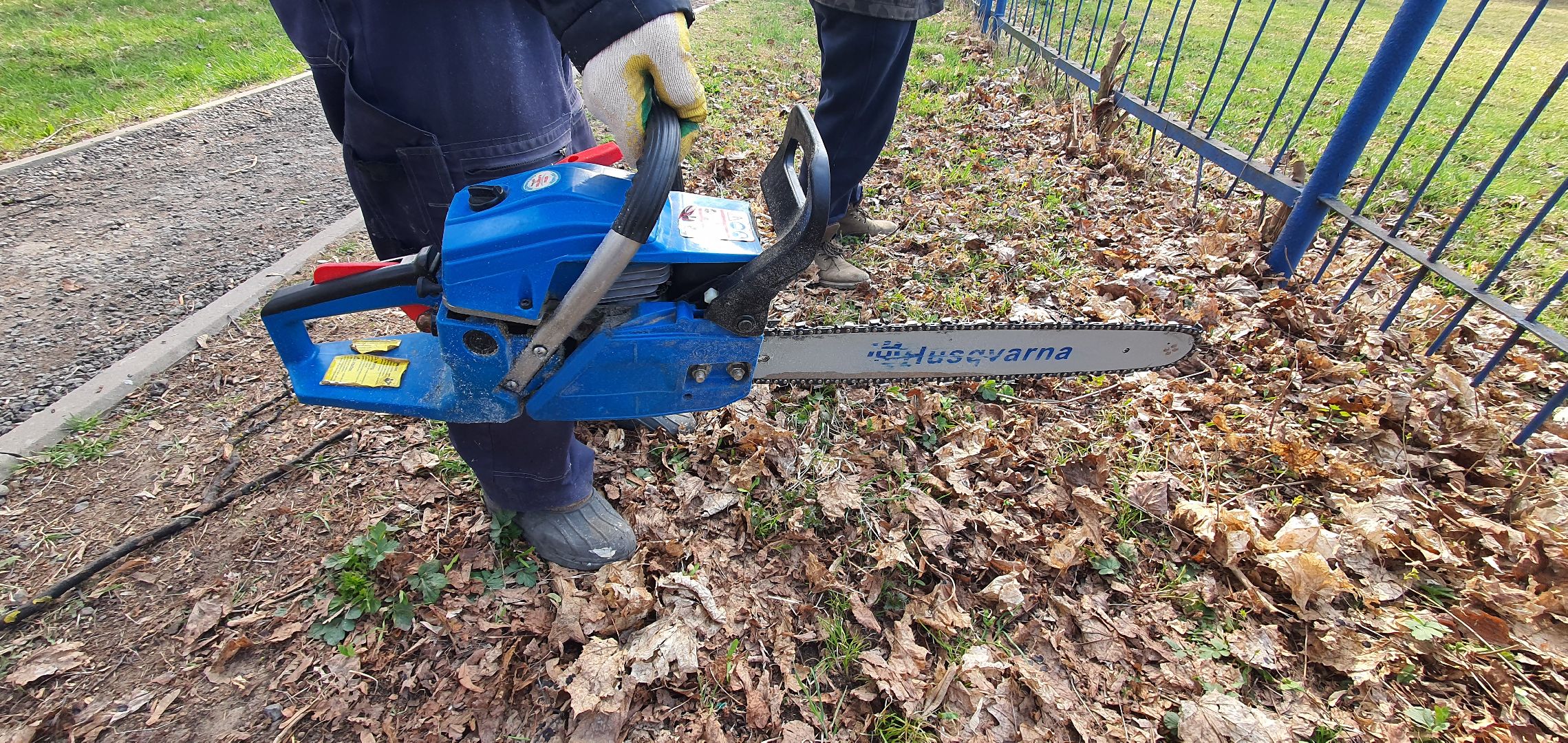 сухостойные деревья, парки Домодедова, благоустройство