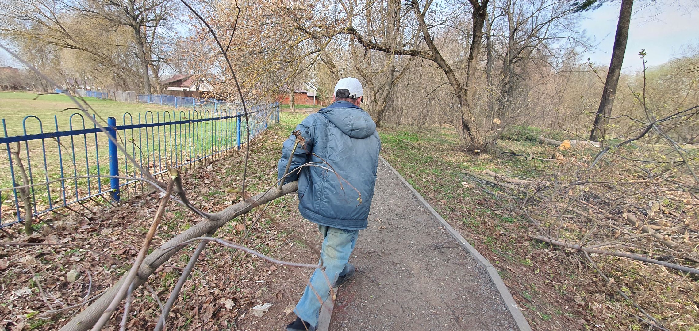сухостойные деревья, парки Домодедова, благоустройство