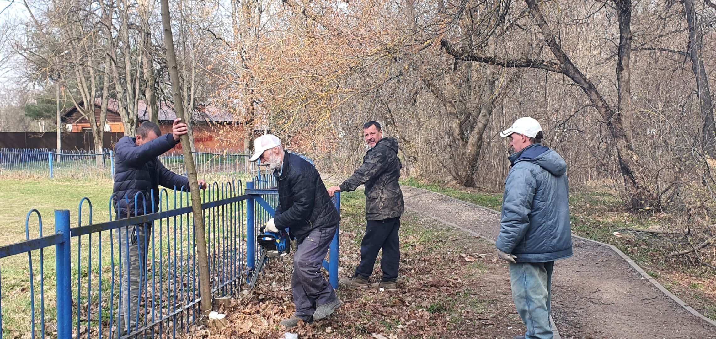 сухостойные деревья, парки Домодедова, благоустройство
