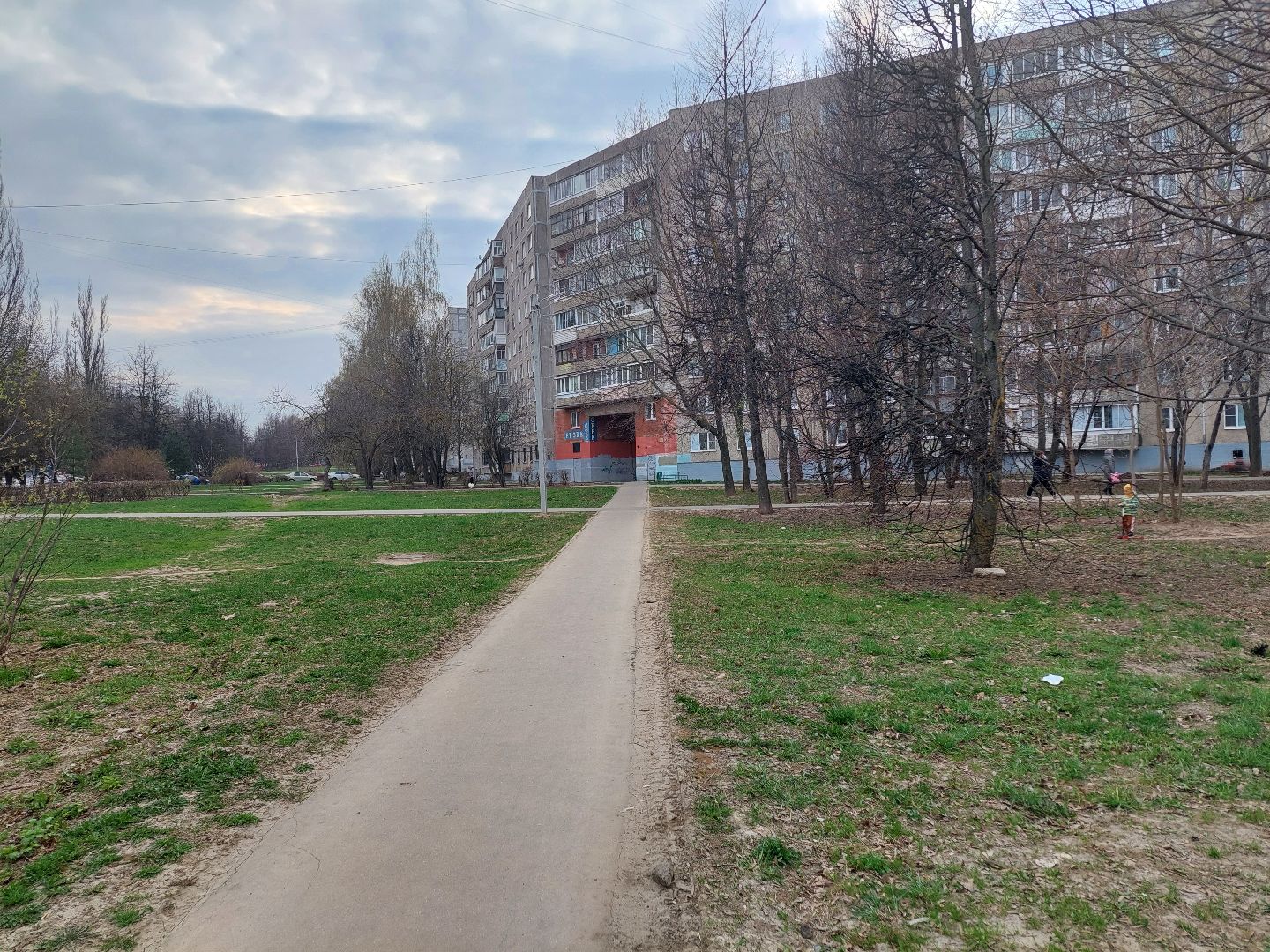 благоустройство, голосование, волонтеры