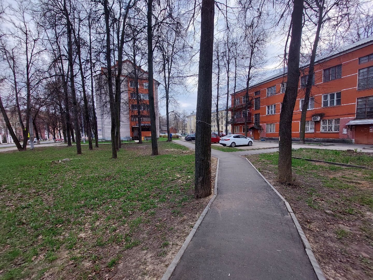 благоустройство, голосование, волонтеры