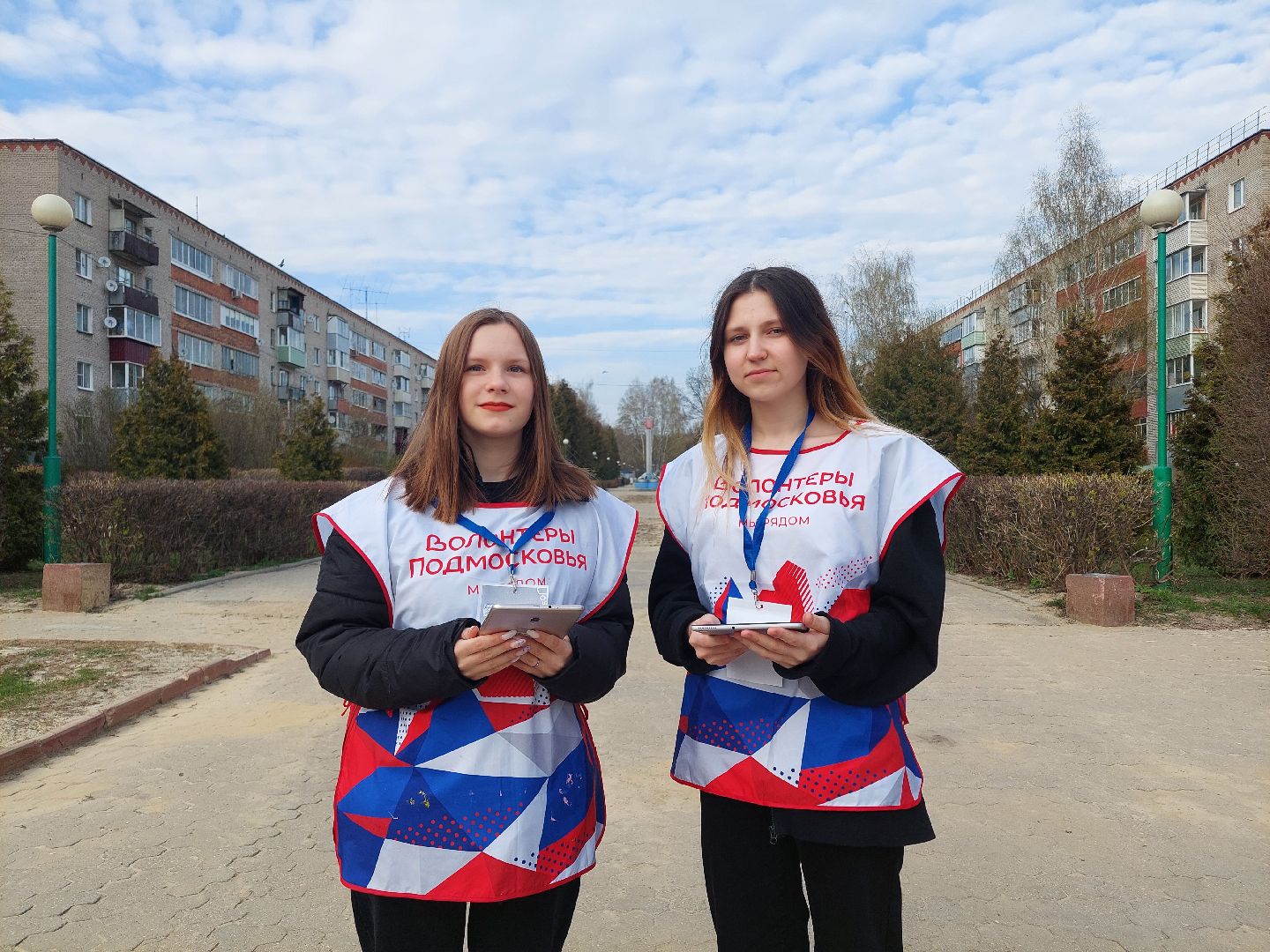 благоустройство, голосование, волонтеры