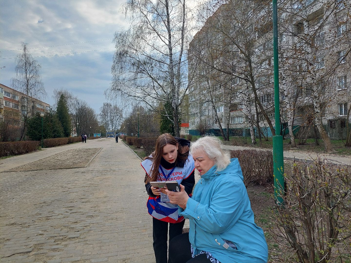 благоустройство, голосование, волонтеры