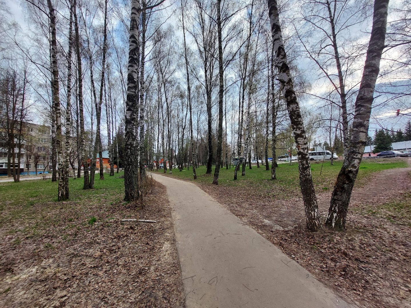 благоустройство, голосование, волонтеры