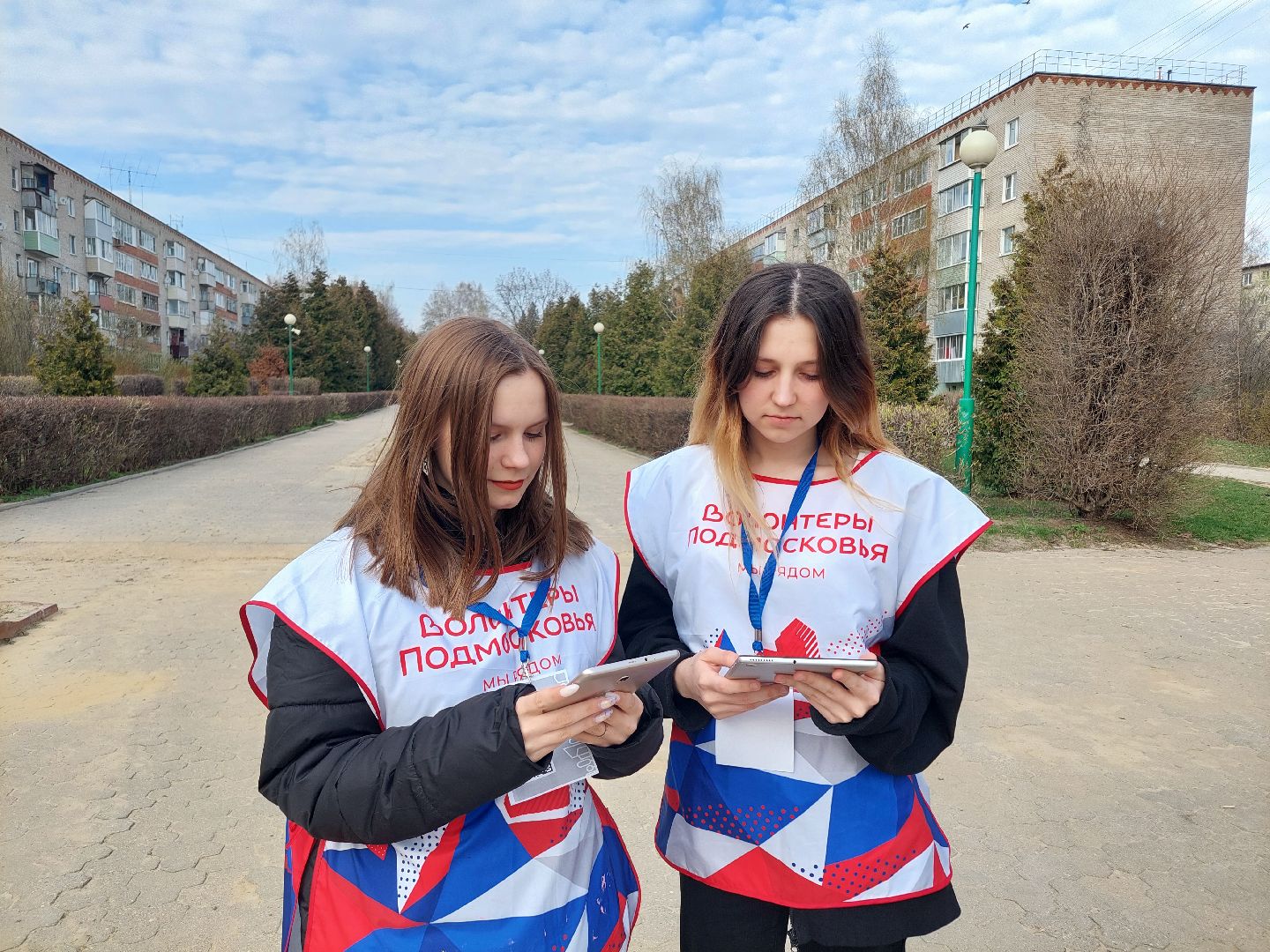 благоустройство, голосование, волонтеры