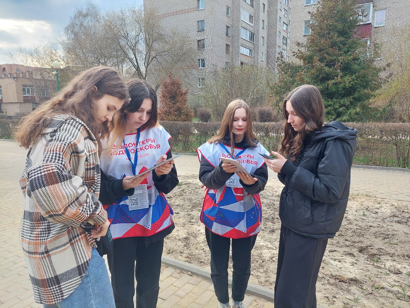 благоустройство, голосование, волонтеры