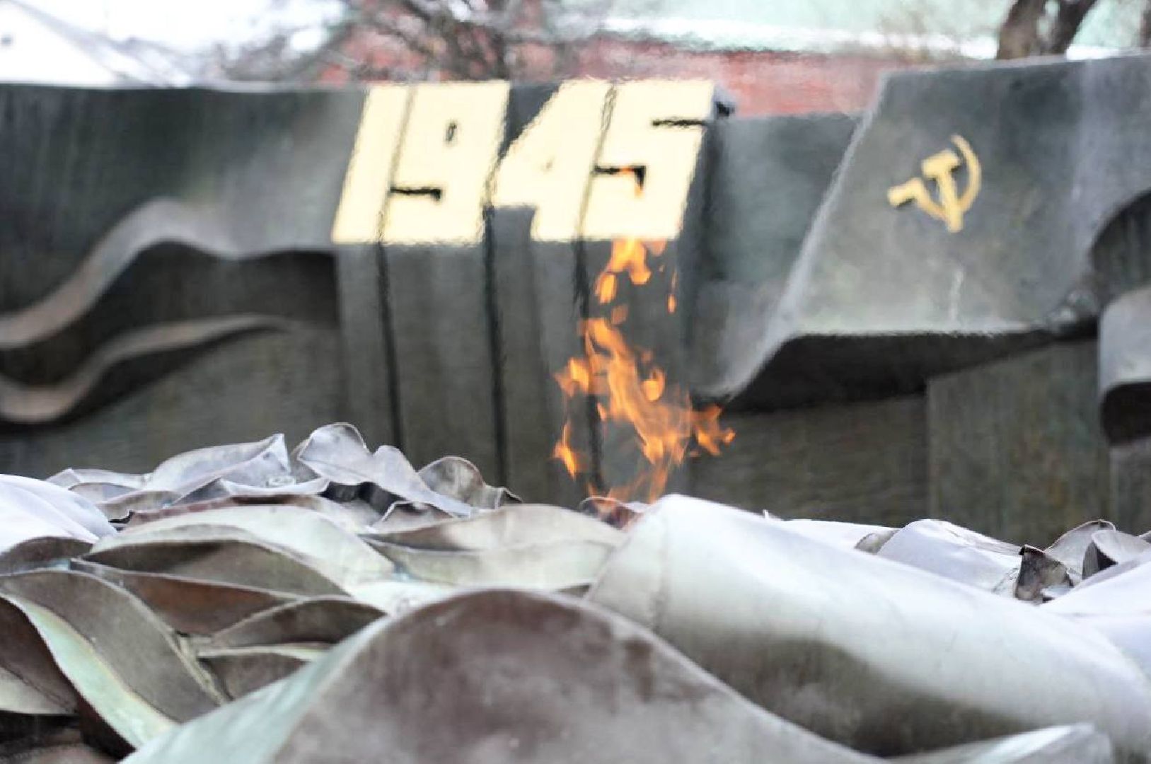 Битва под Москвой, ВОВ, Память, История, Возложение цветов, Волонтеры, Вечный огонь, Сергиев Посад, Сергиево-Посадский городской округ,