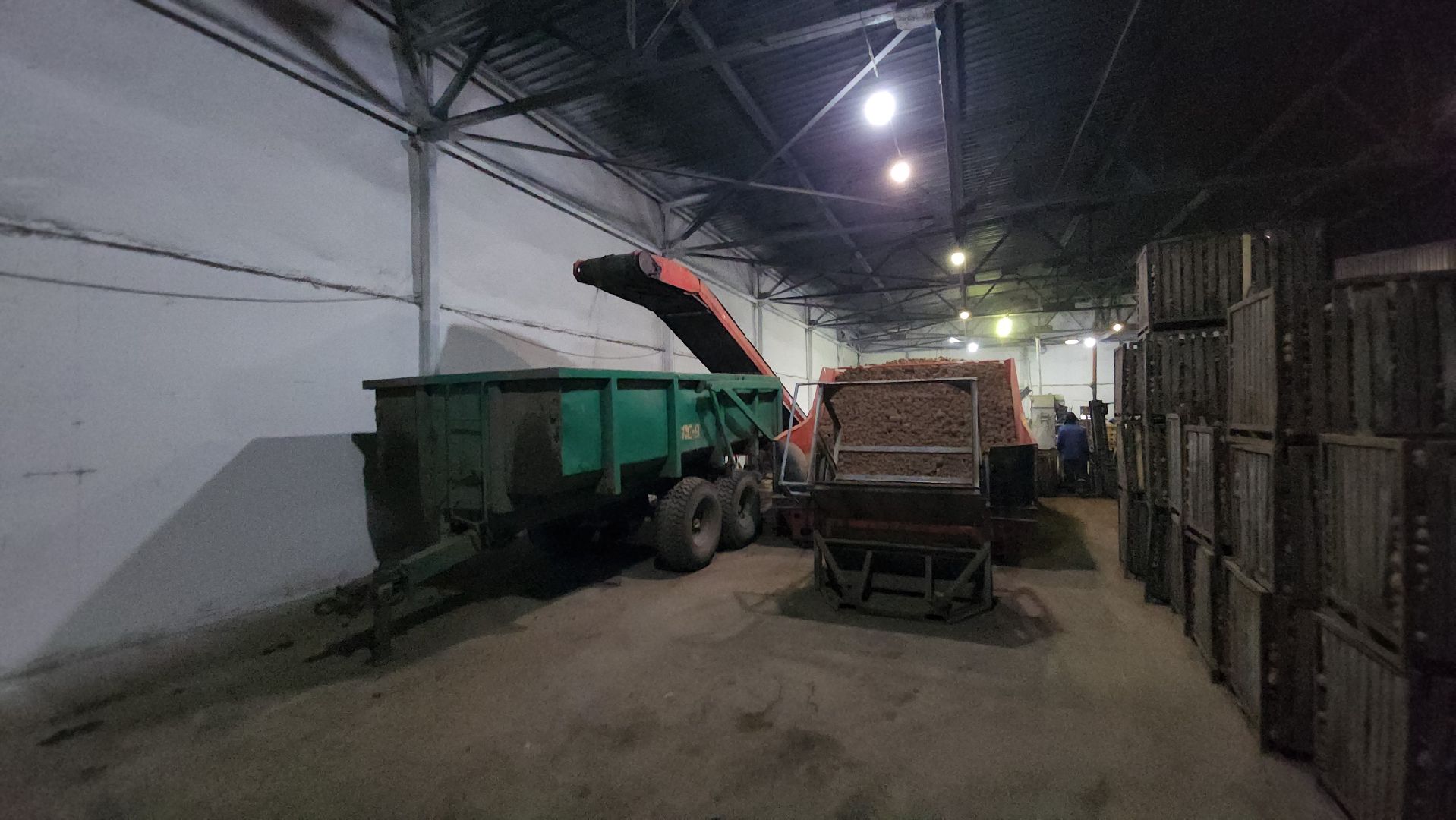 серпухов, сельское хозяйство, ао дашковка, свекла, овощная база, продовольствие, вертикалки,