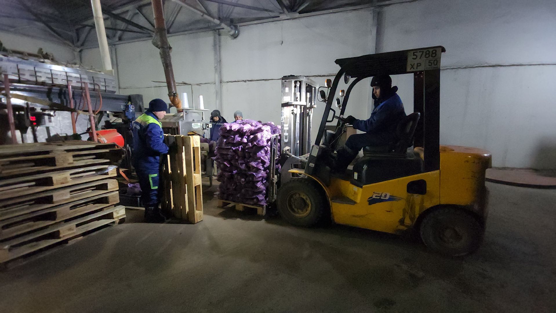 серпухов, сельское хозяйство, ао дашковка, свекла, овощная база, продовольствие, вертикалки,