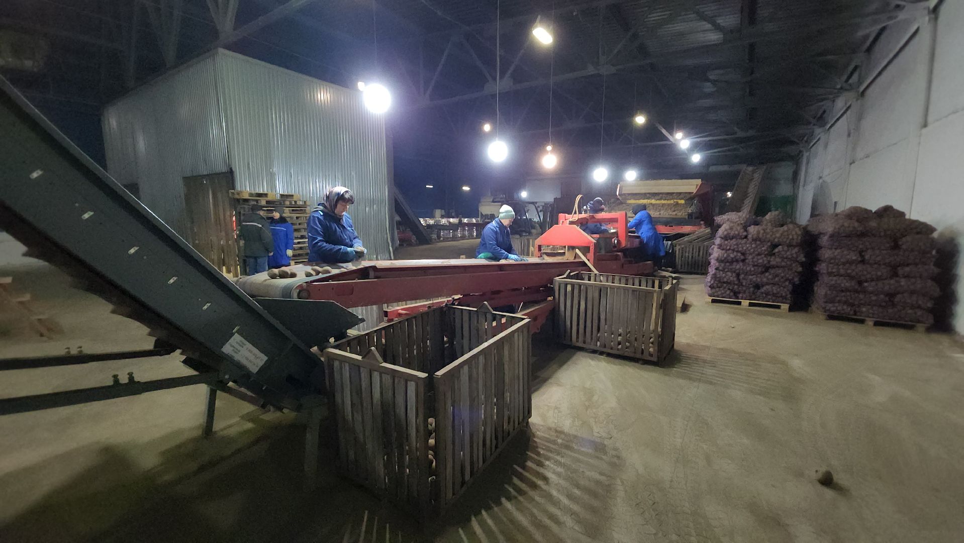 серпухов, сельское хозяйство, ао дашковка, свекла, овощная база, продовольствие, вертикалки,