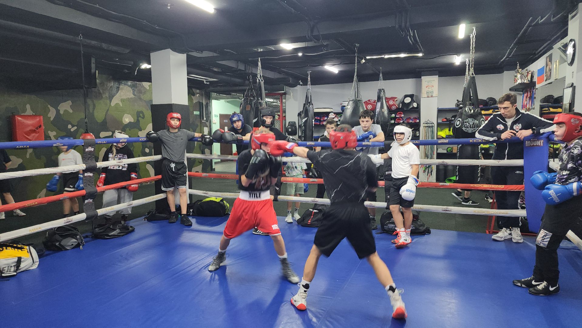 спорт, бокс, всероссийские соревнования, спорт подмосковья, Лосино-Петровский,