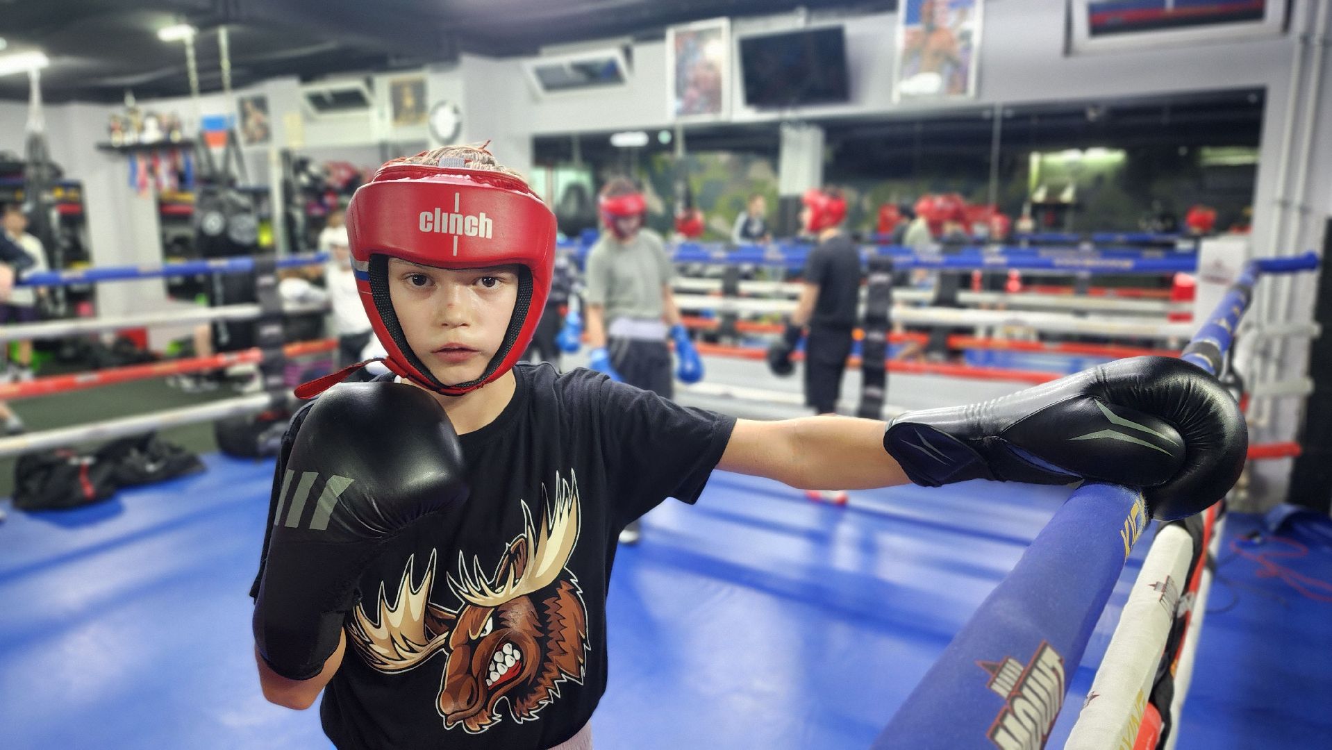 спорт, бокс, всероссийские соревнования, спорт подмосковья, Лосино-Петровский,