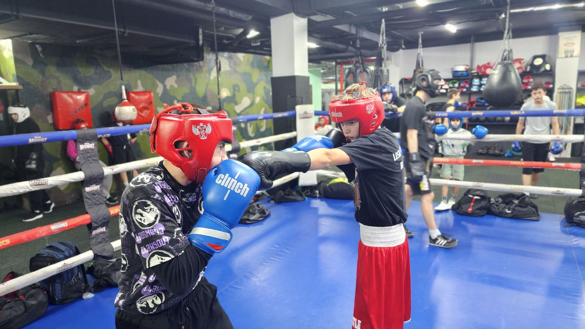 спорт, бокс, всероссийские соревнования, спорт подмосковья, Лосино-Петровский,