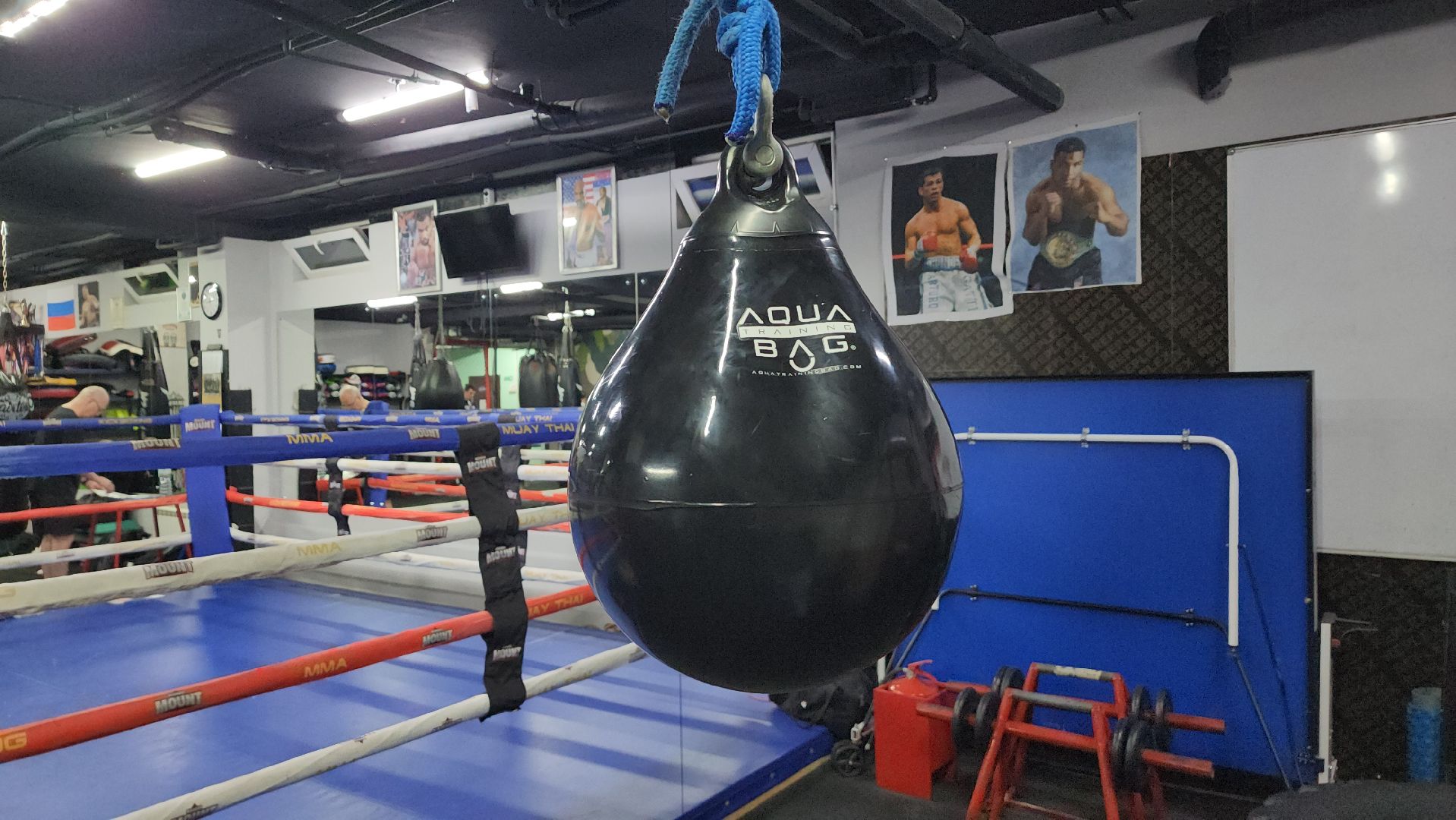 спорт, бокс, всероссийские соревнования, спорт подмосковья, Лосино-Петровский,