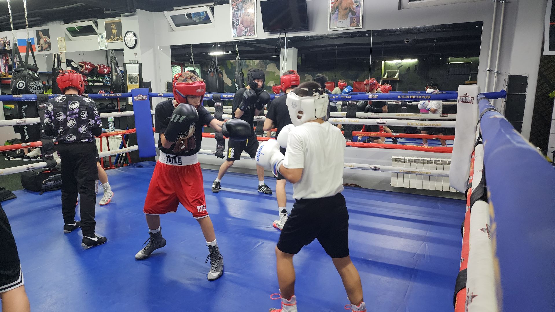 спорт, бокс, всероссийские соревнования, спорт подмосковья, Лосино-Петровский,