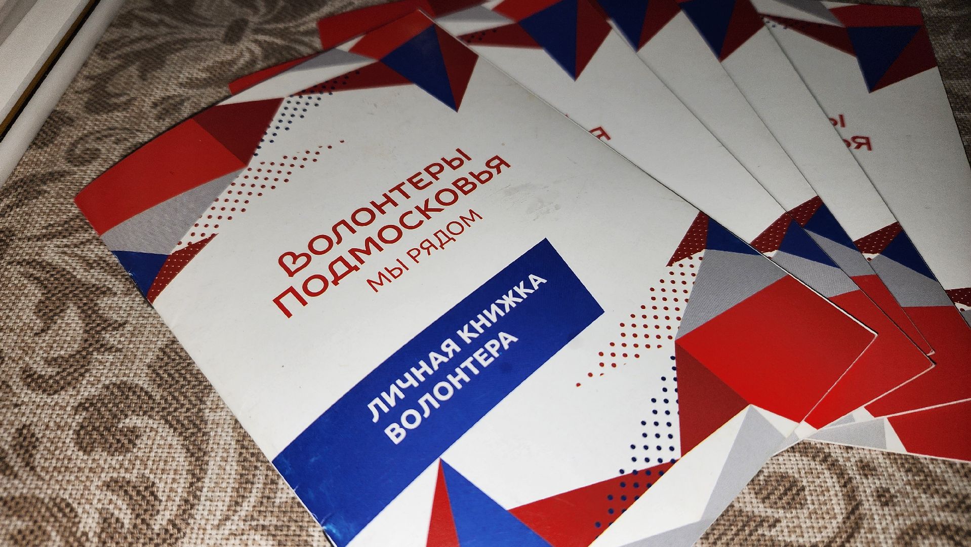 день волонтера, добровольческое движение, волонтеры, Лосино-Петровский,