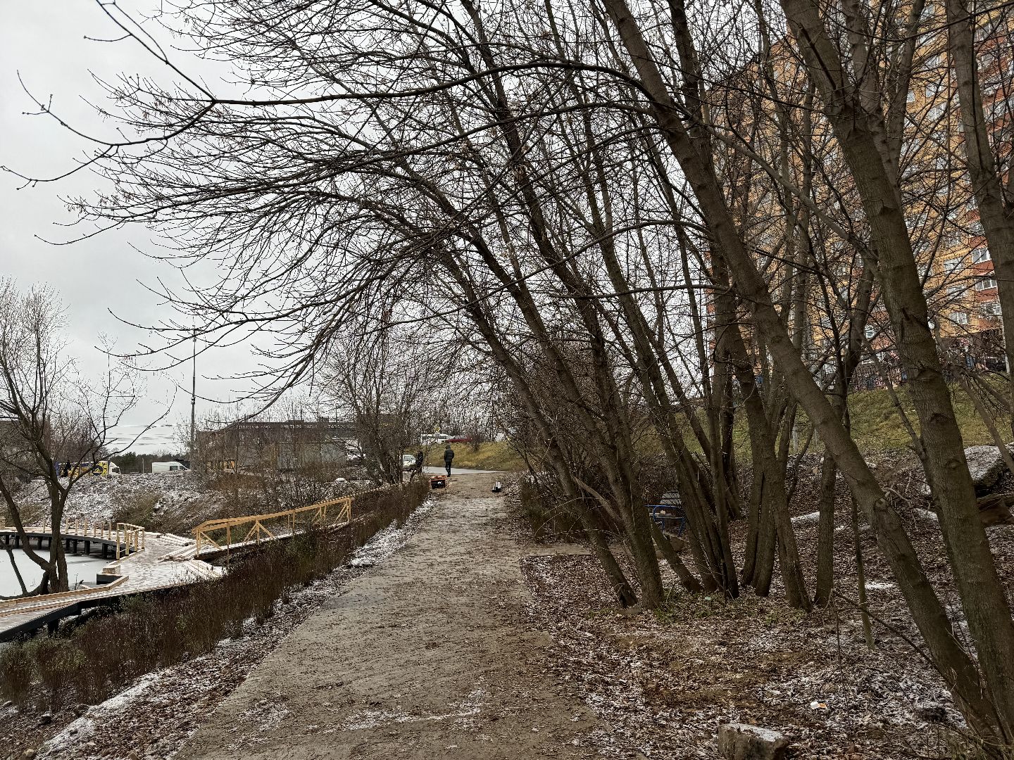 вертикалки, Благоустройство пруда, Тарычевский пруд, Девелоперская компания Брусника, Ревитализация малого тарычевского пруда, жк зеленые аллеи,