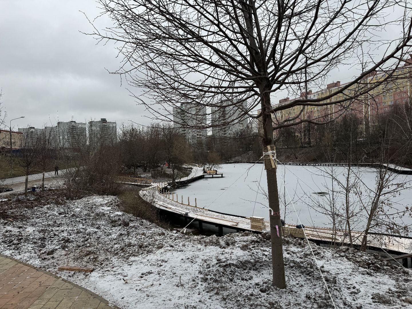 вертикалки, Благоустройство пруда, Тарычевский пруд, Девелоперская компания Брусника, Ревитализация малого тарычевского пруда, жк зеленые аллеи,