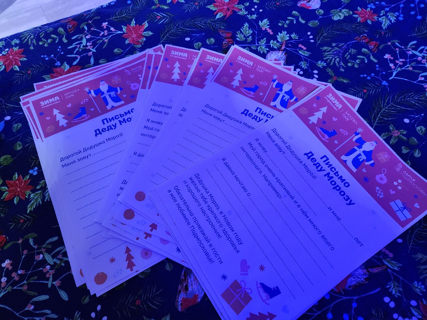 серпухов, подмосковье, парки подмосковья, парки серпухова, парк имени олега степанова, почта деда мороза, новый год,