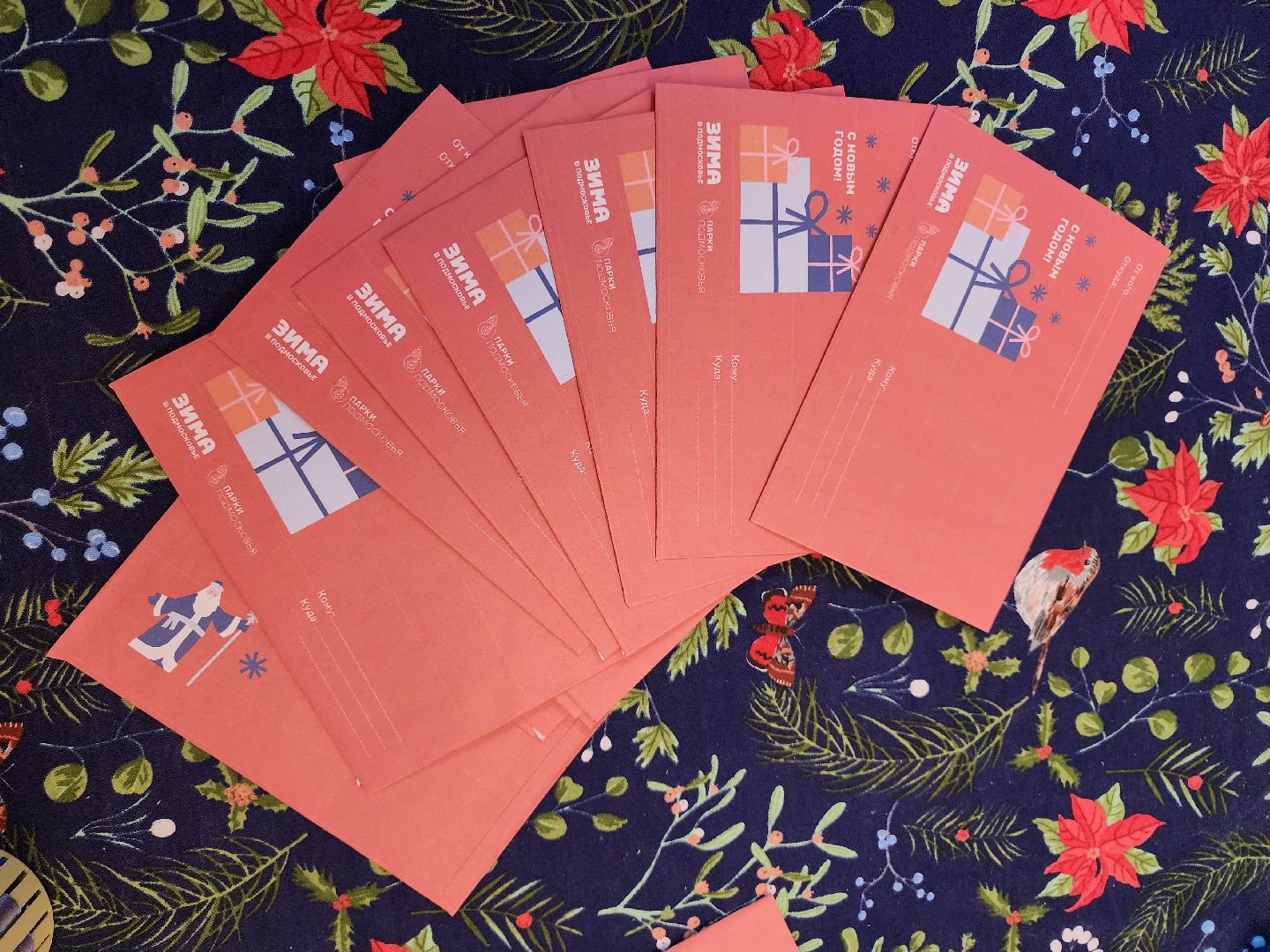 серпухов, подмосковье, парки подмосковья, парки серпухова, парк имени олега степанова, почта деда мороза, новый год,