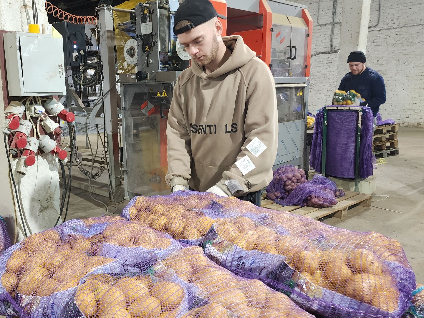 Егорьевск, Экономика, Подмосковье, овощехранилище, картофель, лесные дали, Московская область,