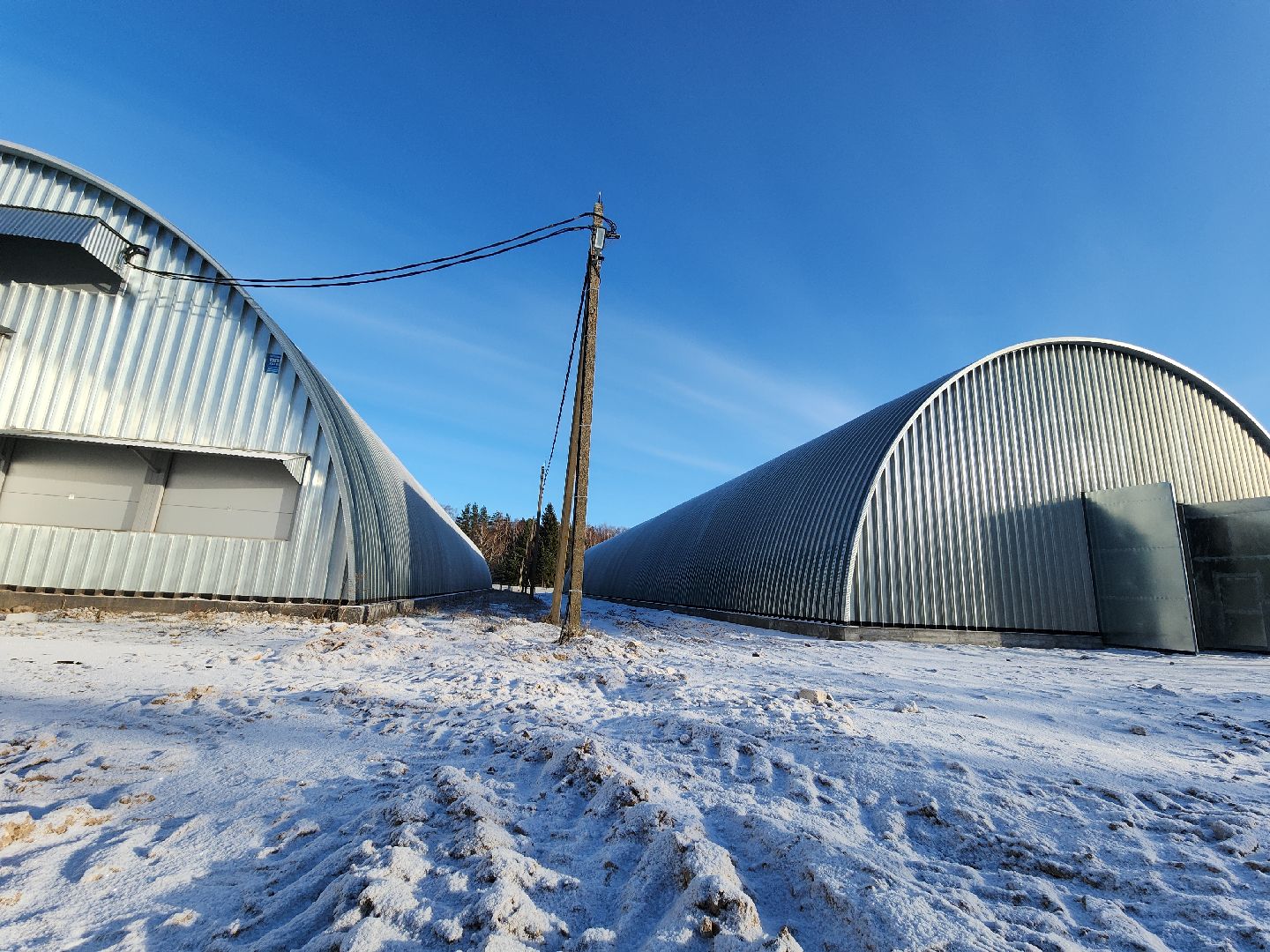 Егорьевск, Экономика, Подмосковье, овощехранилище, картофель, лесные дали, Московская область,