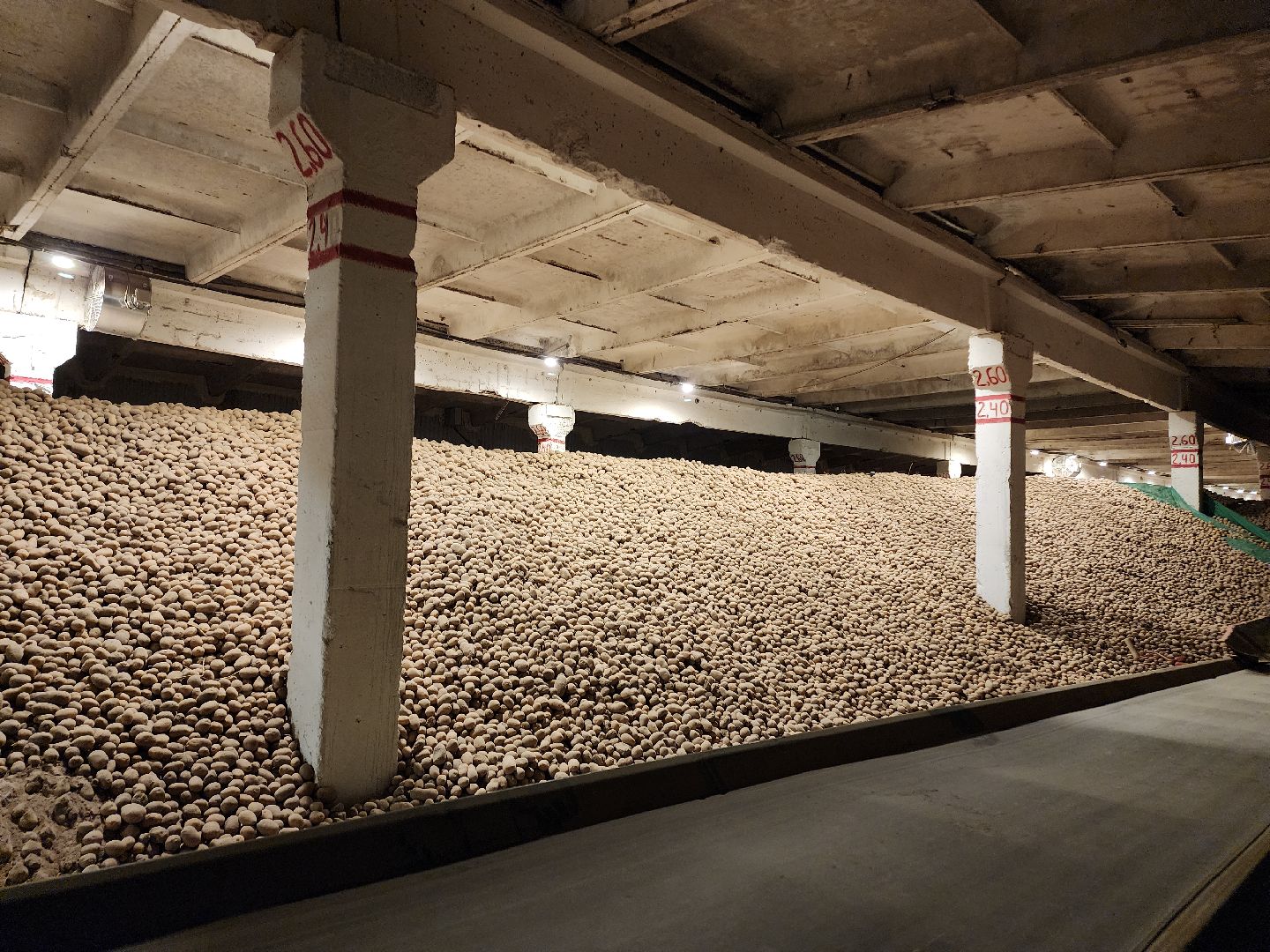 Егорьевск, Экономика, Подмосковье, овощехранилище, картофель, лесные дали, Московская область,