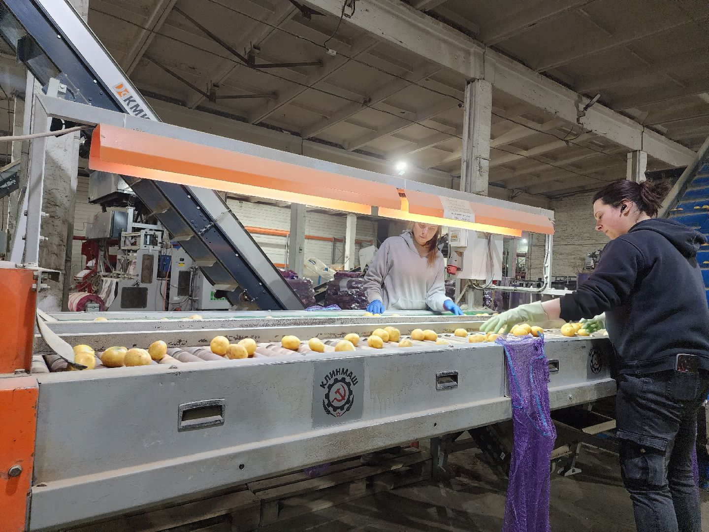 Егорьевск, Экономика, Подмосковье, овощехранилище, картофель, лесные дали, Московская область,