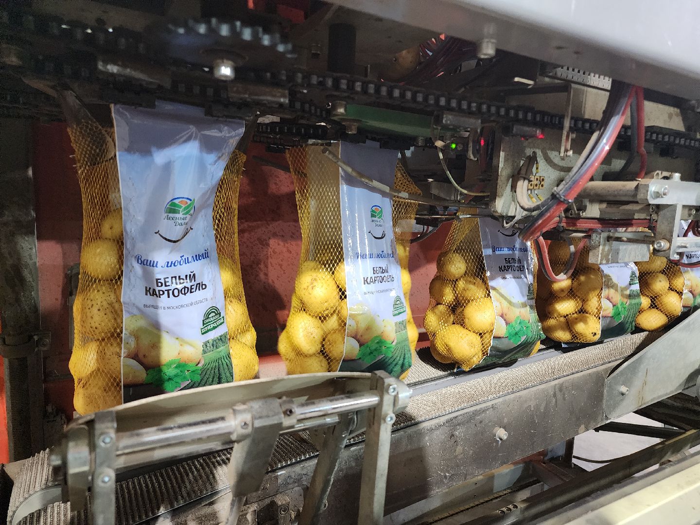 Егорьевск, Экономика, Подмосковье, овощехранилище, картофель, лесные дали, Московская область,