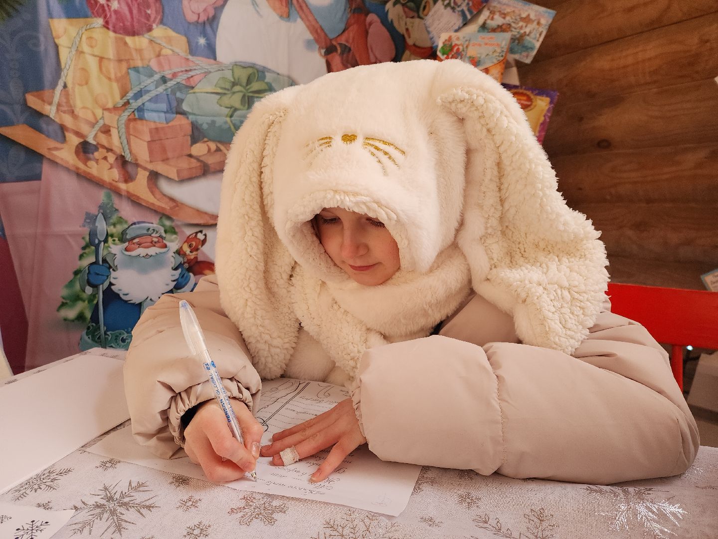 Руза, резиденция деда мороза, почта деда мороза, зима в подмосковье, рузский городской округ, зима в рузе, новый год, вертикалки,