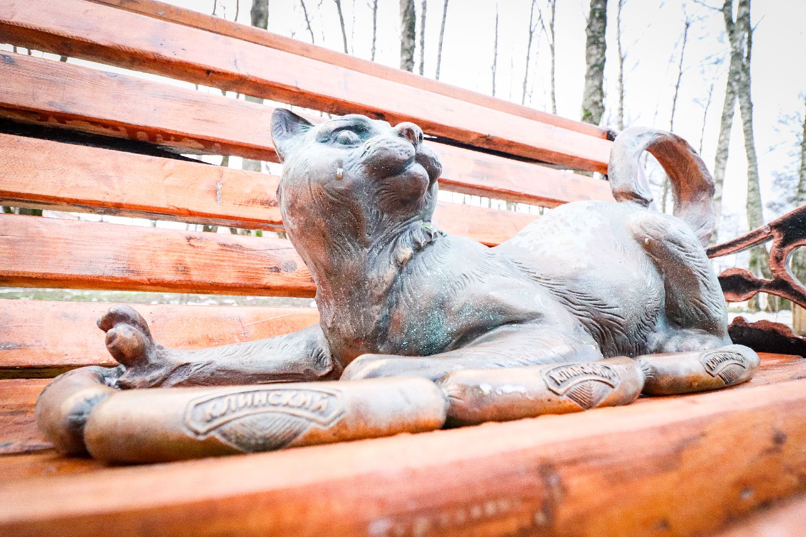 Клин, общество, благоустройство, достопримечательность, вертикалки,