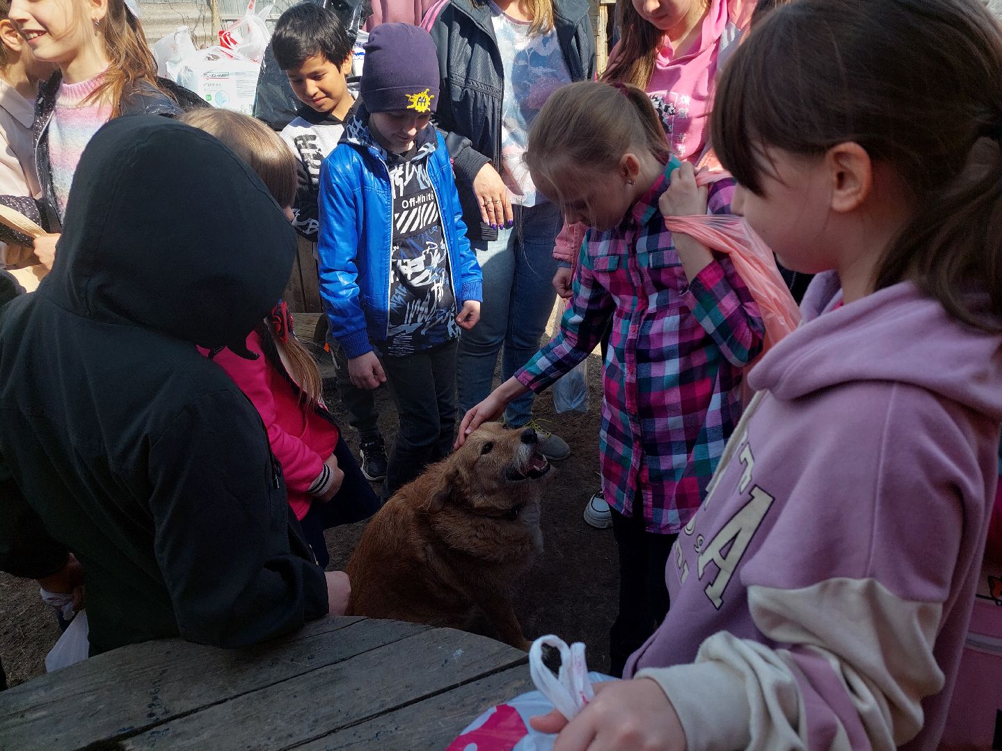 волонтеры, школьники, Воскресенск