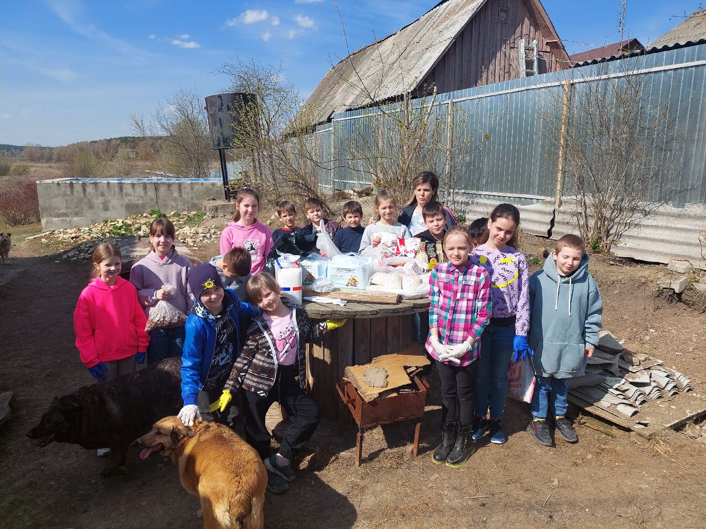 волонтеры, школьники, Воскресенск
