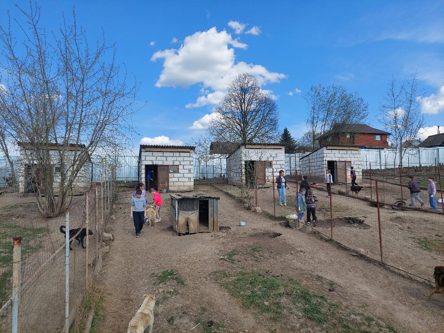 волонтеры, школьники, Воскресенск
