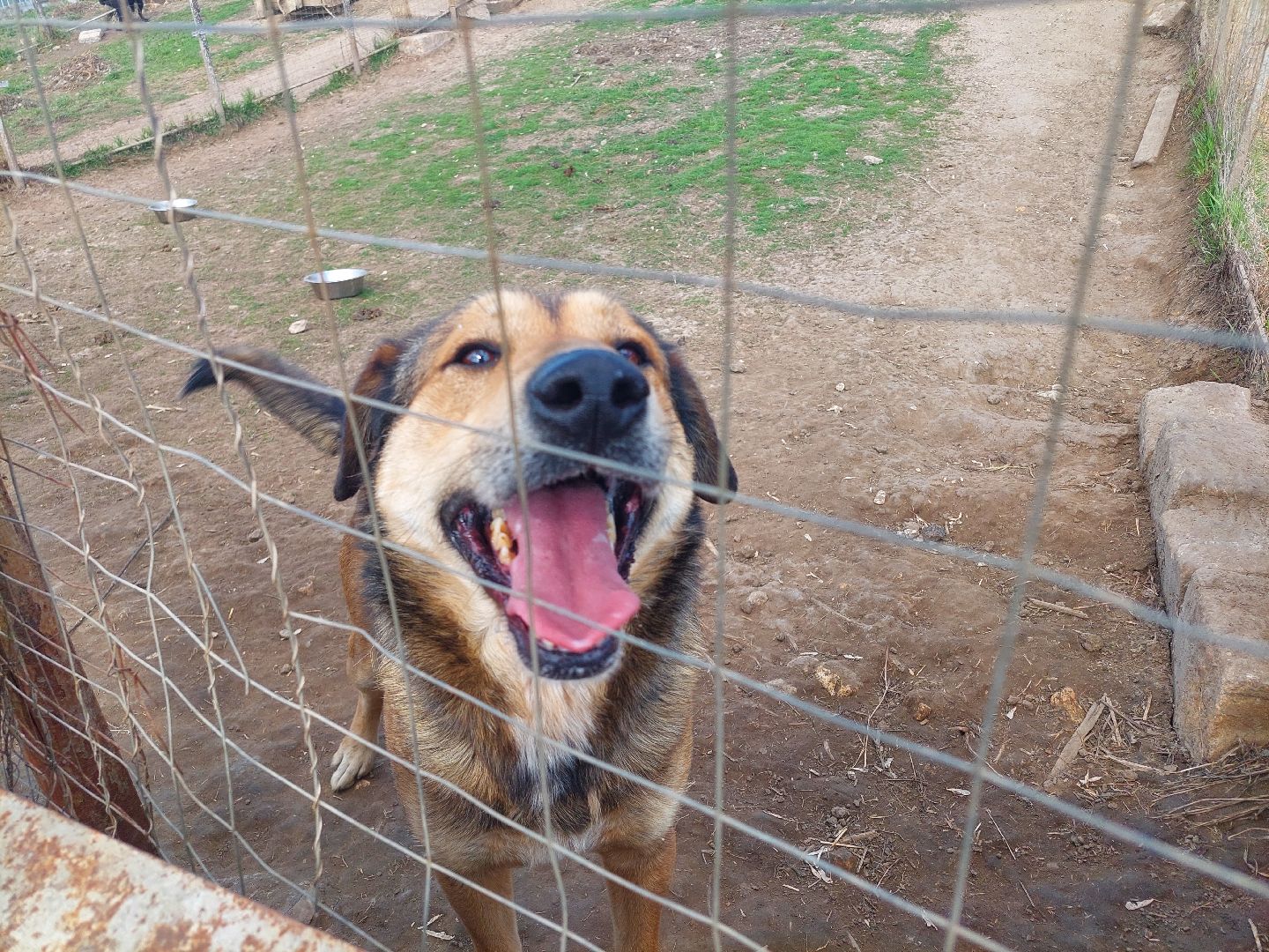 волонтеры, школьники, Воскресенск