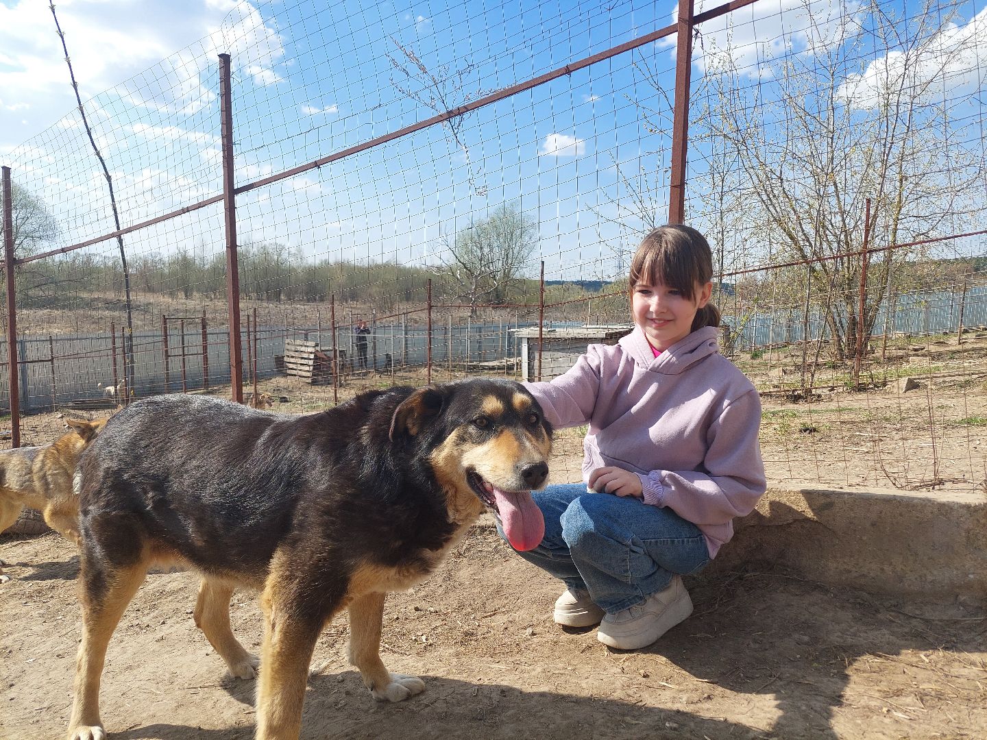 волонтеры, школьники, Воскресенск