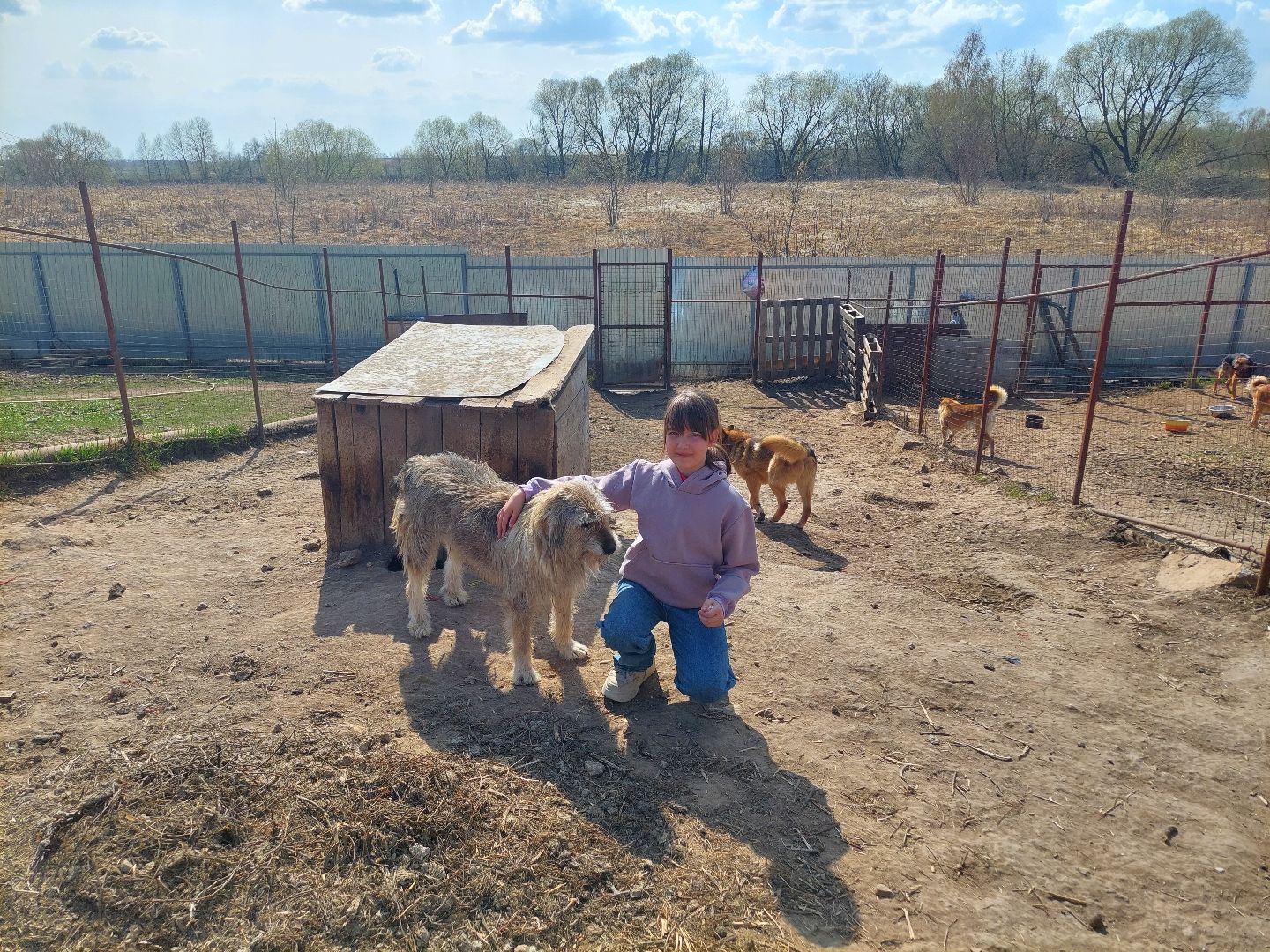 волонтеры, школьники, Воскресенск