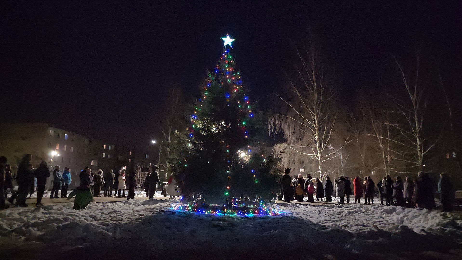Руза, зима в подмосковье, зима в рузе, колюбакино, Наряди елку, московская область, Подмосковье,