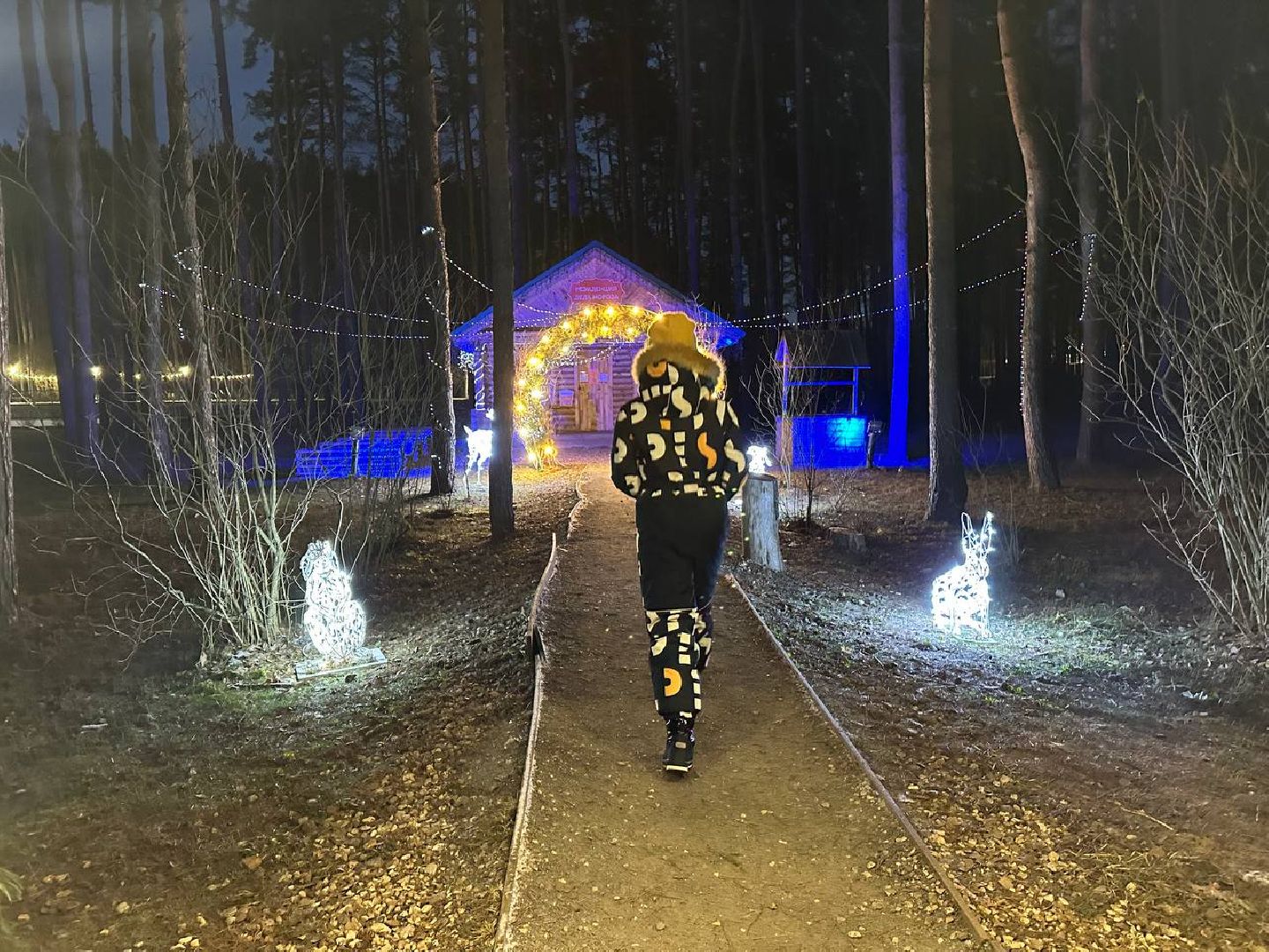 новый год, письмо деду морозу, парки домодедово,