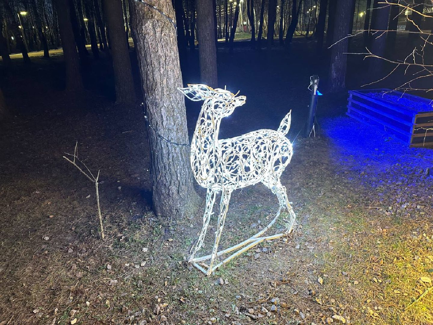 новый год, письмо деду морозу, парки домодедово,