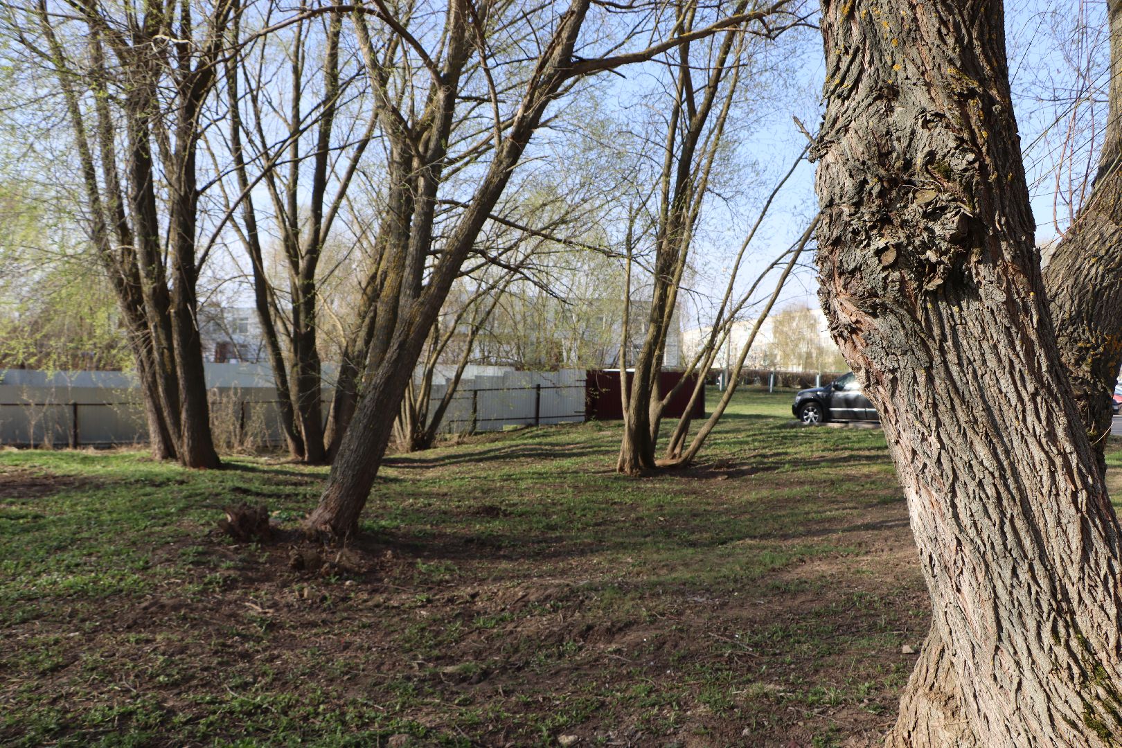 благоустройство, Серебряные Пруды